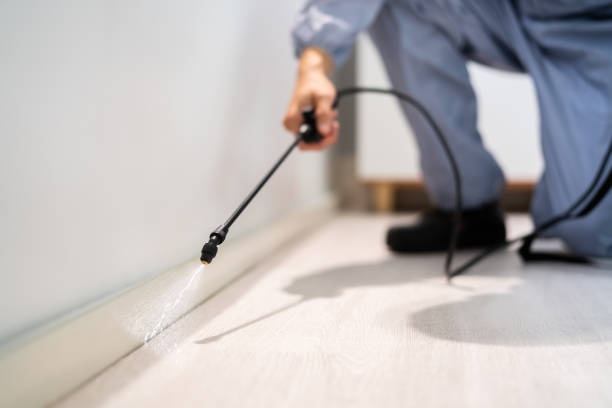 Licensed Pest Control service in Cottonwood, CA - Show Me Pest Control