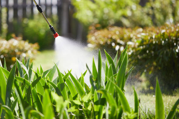 Tamper-Resistant Bait Stations for Rodents in Cottonwood
