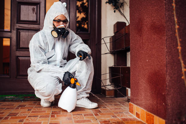 Attic and Crawl Space Rodent Treatment in Cottonwood